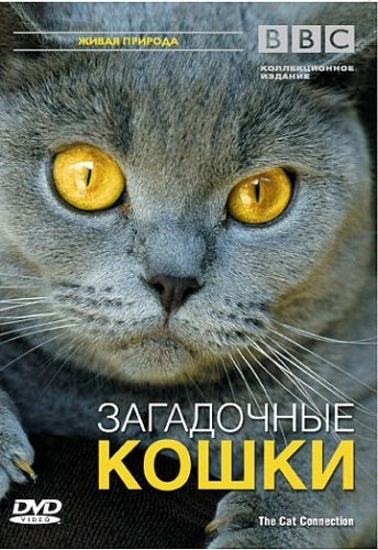 BBC: Загадочные кошки () смотреть онлайн